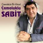 poster Aydınım Gitti Çamolukta Bir Güzel