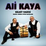 poster Dizden Kırma Çamoluk Davul Zurna Kelkit Vadisi Oyun Havaları