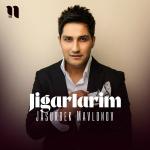 poster Jigarlarim Jigarlarim