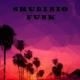 Shubinio - Funk