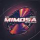 Alok & DENNIS - Mimosa (Now And Forever) [Extended Mix]