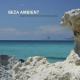 Lenny Ibizarre - A Drop In the Ocean (Original Mix)