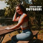 poster Duygusal Duygusal