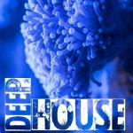poster Scotch & Whiskey(Original Mix) Deep House