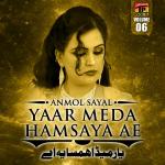 poster Meri Qasman Da Kar Aietbaar Yaar Meda Hamsaya Ae, Vol. 6