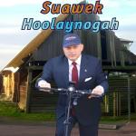 poster Suawek Hoolaynogah (Alienator Ufo) Suawek Hoolaynogah (Alienator Ufo)