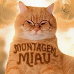 poster MONTAGEM MIAU - Slowed MONTAGEM MIAU