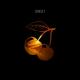 Can Sezgin & Emre Yazgin feat. Dilara - Sunset (The Distance & Riddick Remix)