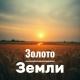 Проект ПОЛЫНЬ - Золото Земли