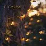 poster Cicades Cicades