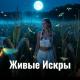 Проект ПОЛЫНЬ - Живые Искры