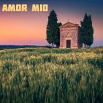 poster Amor Mio Amor Mio