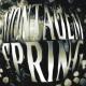 DJ RLS DA ZL, DJ FRIZER - MONTAGEM SPRING (Sped Up)