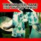 Jamaican Steel Band - Brazilian Love Song